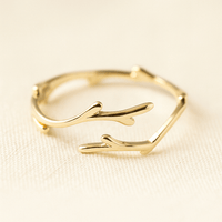 Anello dell'Abbraccio della Foresta