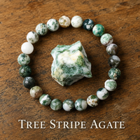 Bracciale in Agata Albero per Crescita, Abbondanza e Radicamento